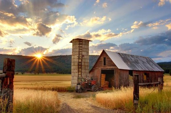 Comment Gérer son bien immobilier à la campagne à distance ?